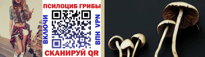 закладки  Разумное  дарк нет какой сайт  Псилоцибиновые грибы ЛСД 